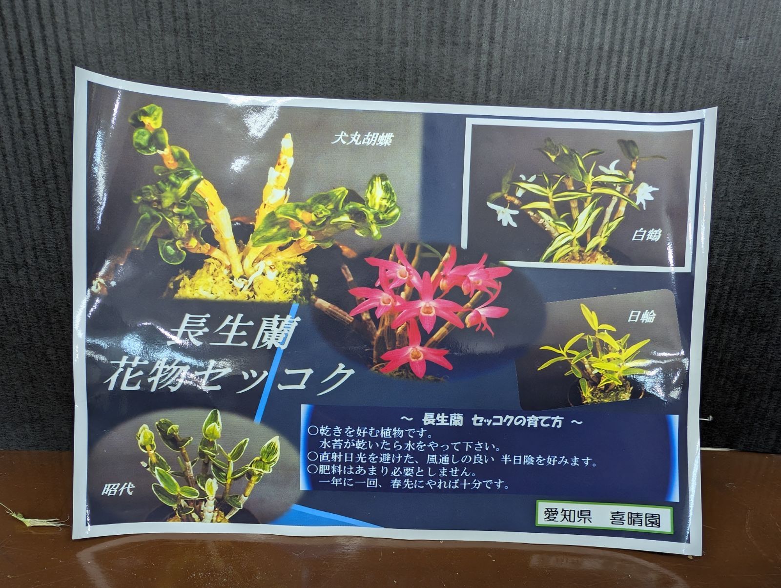 15鉢