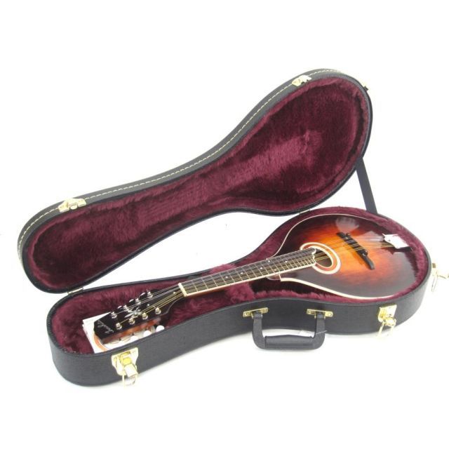IWASHITA A-4 MANDOLINS -amp GUTARS マンドリン ケース付属 UD3793