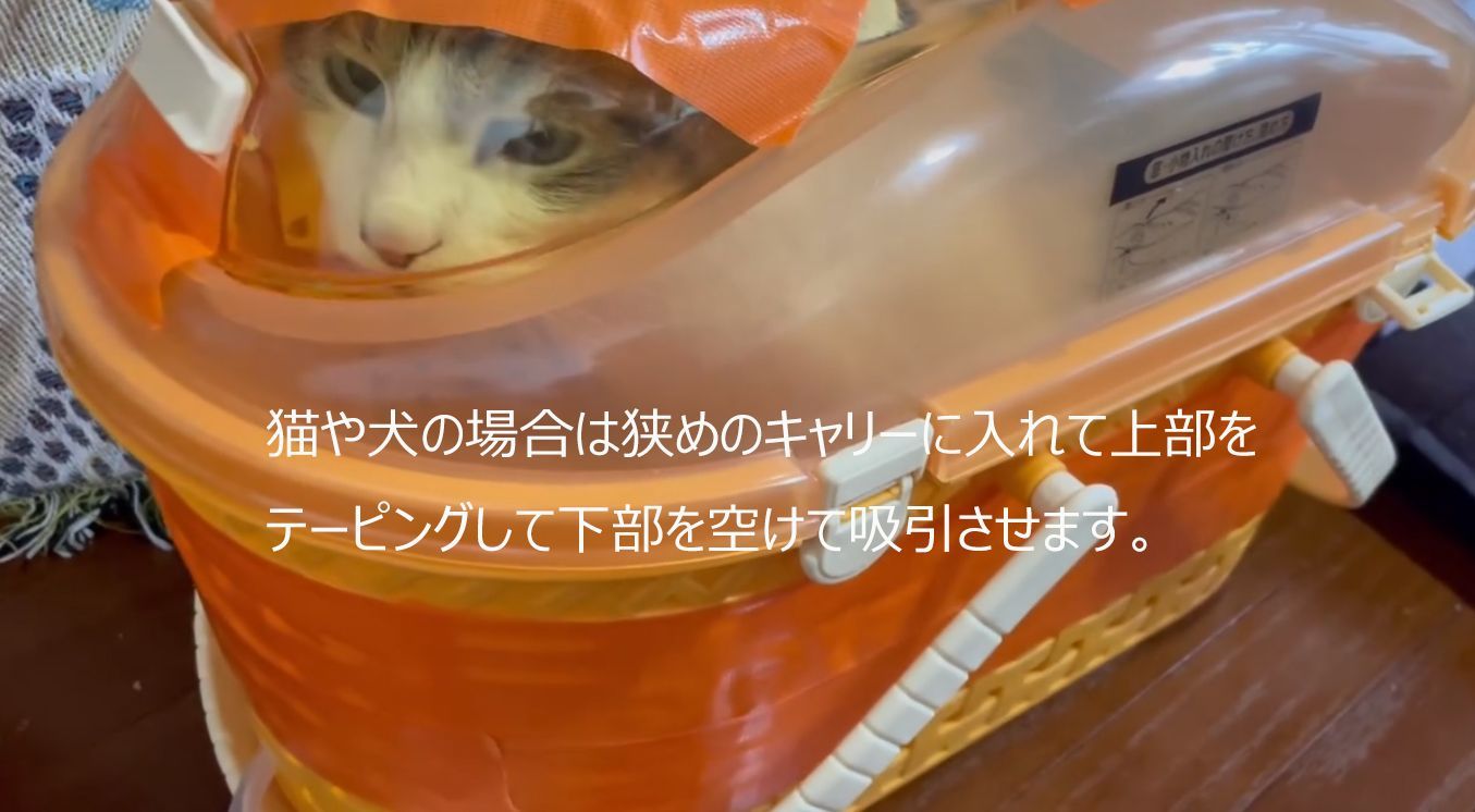 時間５分で4L吸引