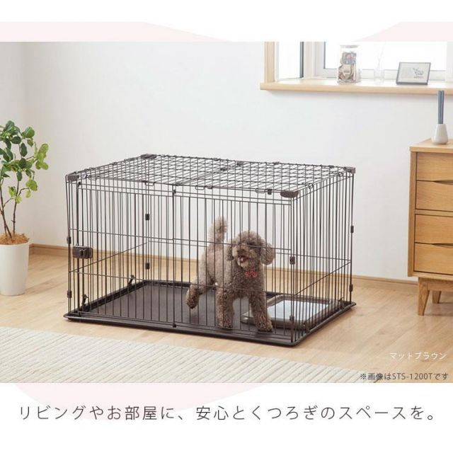 サークル システムサークル