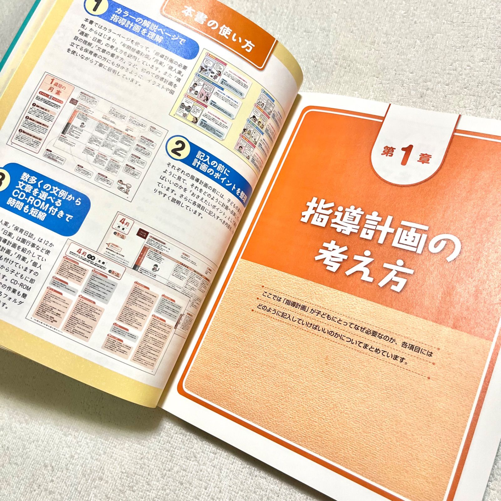 1歳児 指導計画 本 保育 カラー 月案 週案 日案 子ども 乳児 保育士 