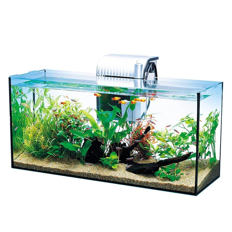 テトラ (Tetra) ガラス 水槽 オールグラスアクアリウム GA-600F 水槽 アクアリウム 熱帯魚 メダカ 金魚