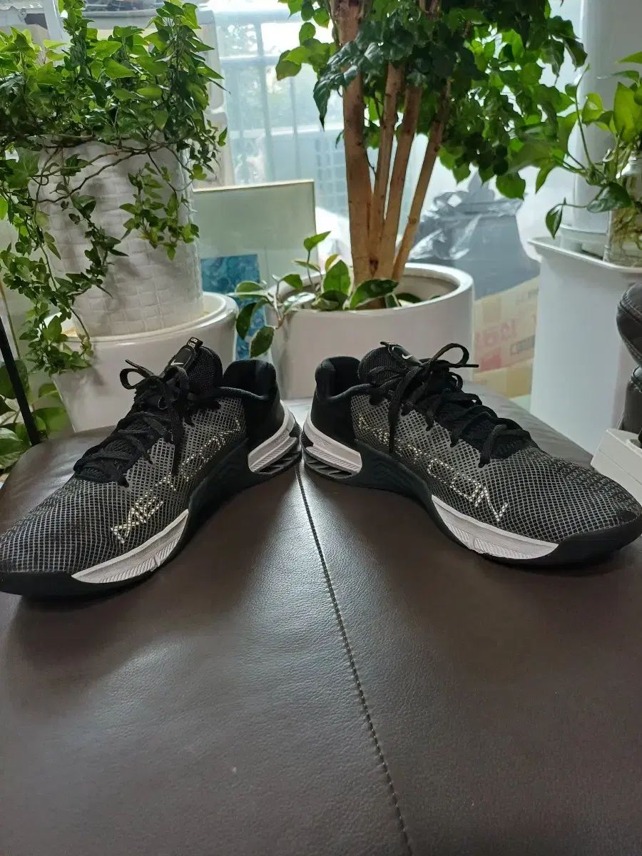 NIKE エアマックス