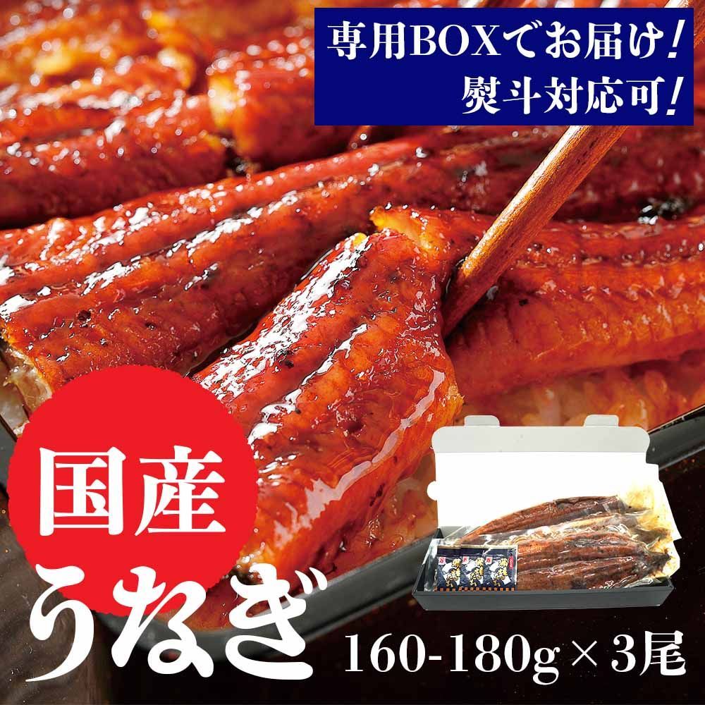 うなぎの蒲焼き大サイズ (160-180g×3尾) 愛知県三河一色産 【うなぎ専門店小林商店】タレ付 備長炭 本格炭火焼き 贈答品 ご自宅用 ギフト お中元 お歳暮 母の日 父の日 お祝い 土用丑の日 国産 ウナギ 蒲焼き 鰻  蒲焼