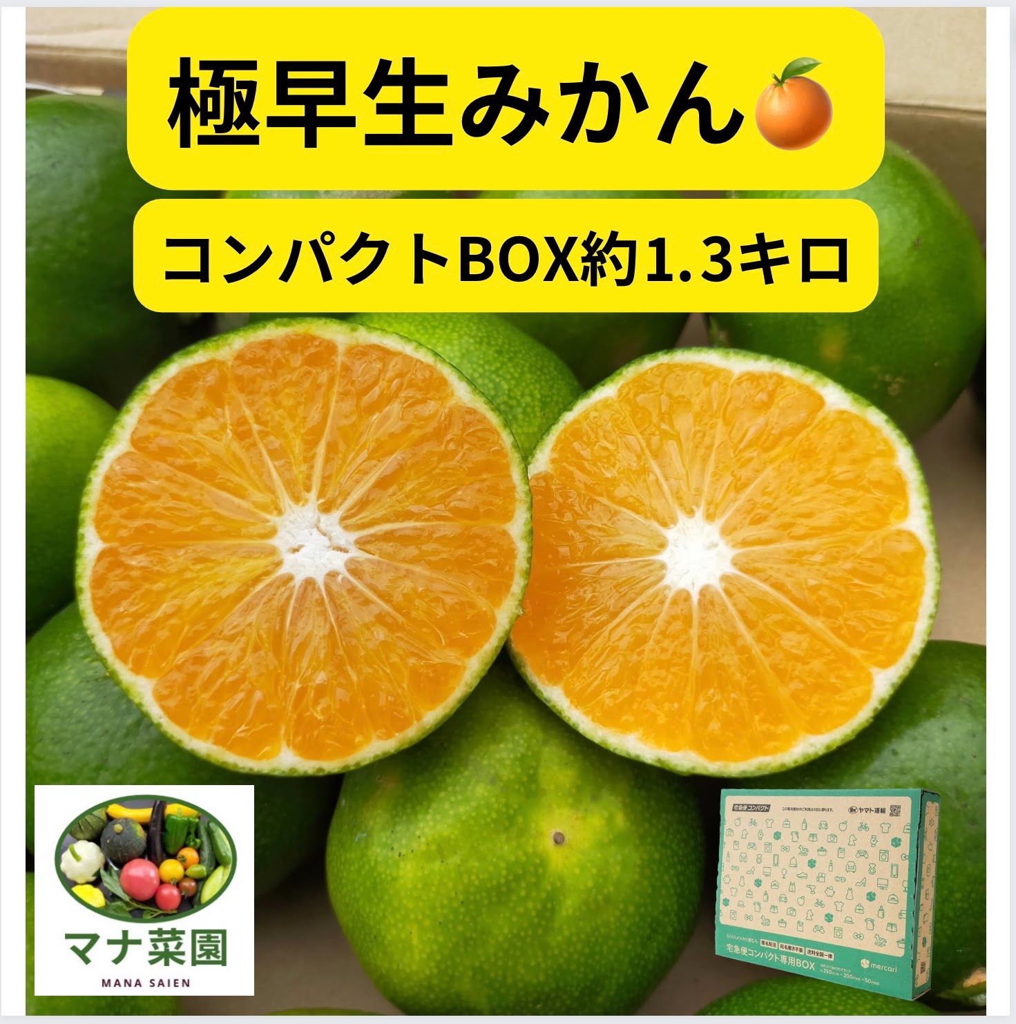 極早生みかん🍊約1.3キロ🍊コンパクトBOX発送♪ - メルカリ