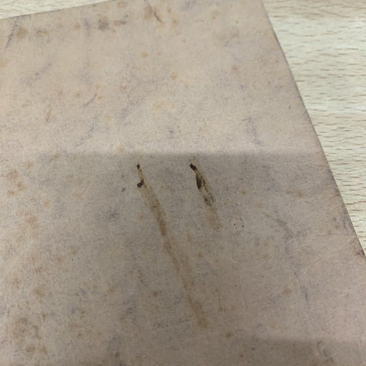 ▲01)【同梱不可】【非売品】年中法要行事/大谷派本願寺寺務所/大正7年/仏教/思想/宗教/A △01)【同梱不可】【非売品】年中法要行事/大谷派本願寺寺務所