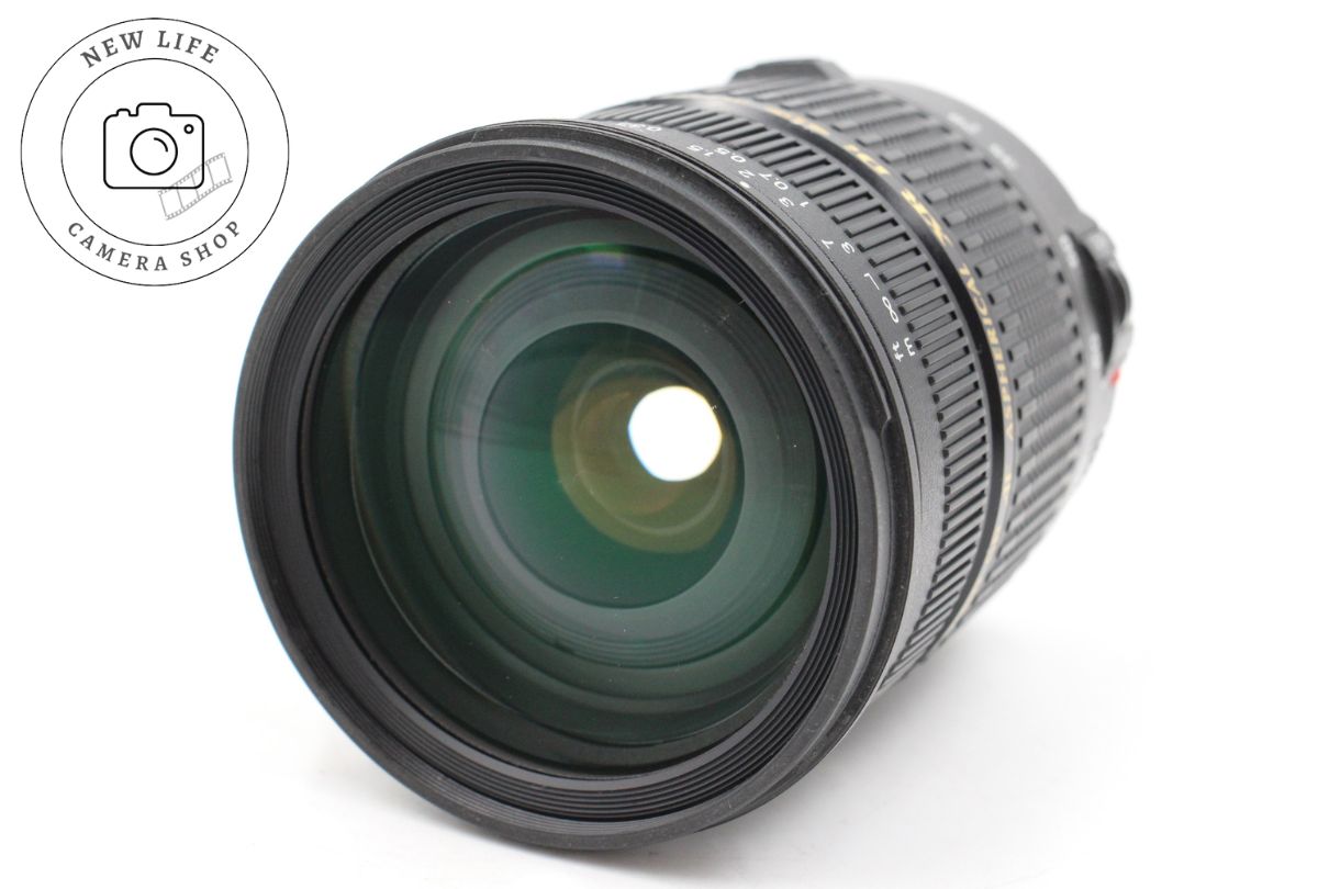 2点セット】SALOMON DESIRE デザイア 143cm バインセット SALOMON