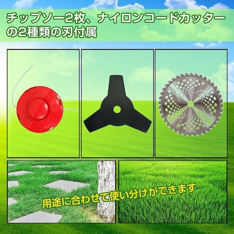 芝