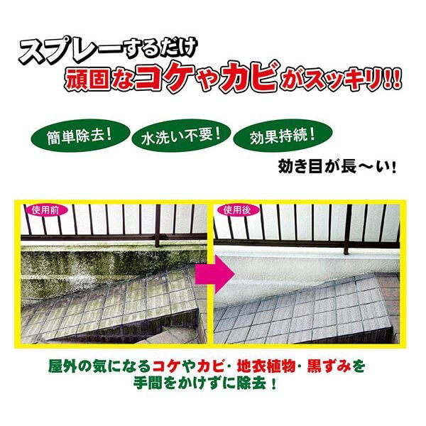 カビ取り こけ落とし