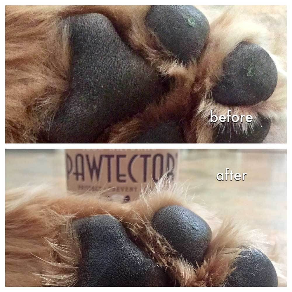 natural DOG COMPANYナチュラルドッグカンパニートライアルセット
