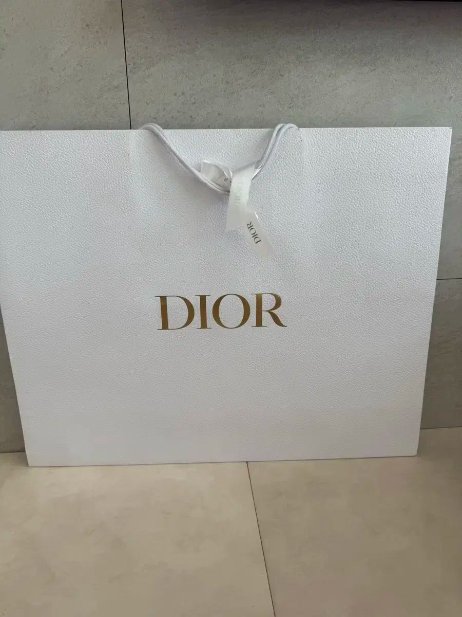 【出会えた一点物】DIOR オブリックブックトットラージ ブックトート ディオール オブリーク エンブロイダリー ラージ