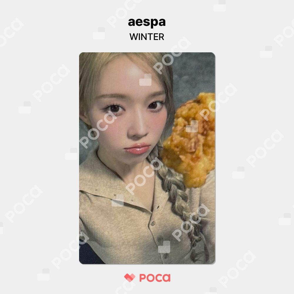 aespa ウィンター パンダ ぬいぐるみ ドール aespa ウィンター パンダ ぬいぐるみ ドール（aespa winter