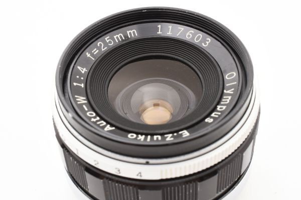 【未使用級】希少 カルボッティCARBOTTI　旧金具　エレナ　ハンドバッグ 未使用級】希少 カルボッティCARBOTTI 旧金具 エレナ ハンドバッグ