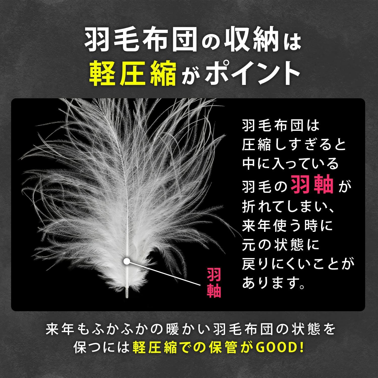 【在庫処分】グレー 2枚組 シングル ダブル兼用 通気性の良い不織布製 羽毛布団収納袋 布団収納 布団袋 収納バッグ 収納ケース 保管袋 ホコリ除け アストロ 持ち手付き 透明窓付き 圧縮袋 コンパクト 167-26