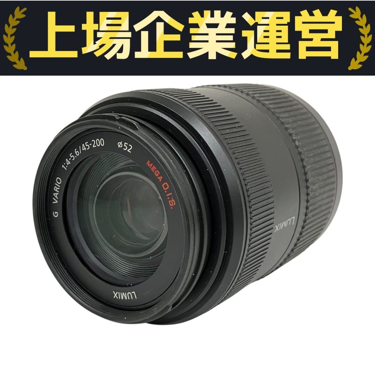 Panasonic LUMIX H-FS045200 望遠ズームレンズ ミラーレス 一眼