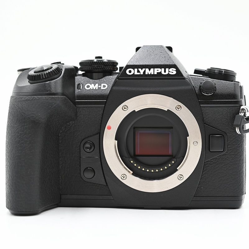 OLYMPUS オリンパス ミラーレス一眼 OM-D E-M1 MarkII ボディー FL-LM3 フラッシュ シャッター数2523枚 ミラーレス一眼レフカメラ MERCADOAVALIA_COM_BR