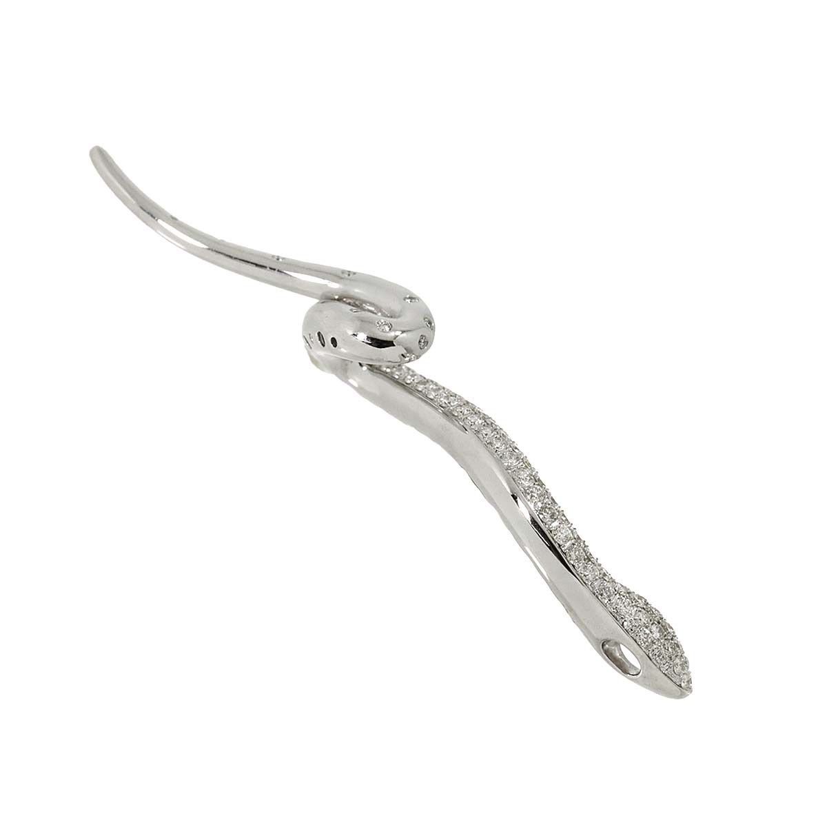 リ8220 「現地株」パキポディウム グラキリス S 抜き苗 リ8220 「現地