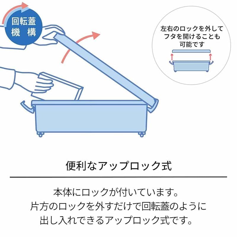 ワイド 3個セット