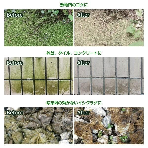 コケそうじ濃縮液