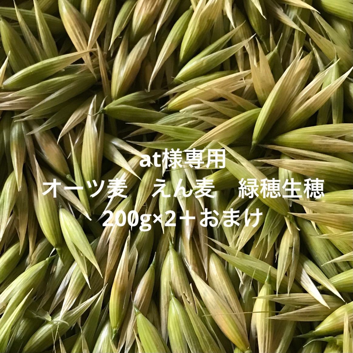 at様専用 オーツ麦 えん麦 生穂緑穂（冷凍） - メルカリ