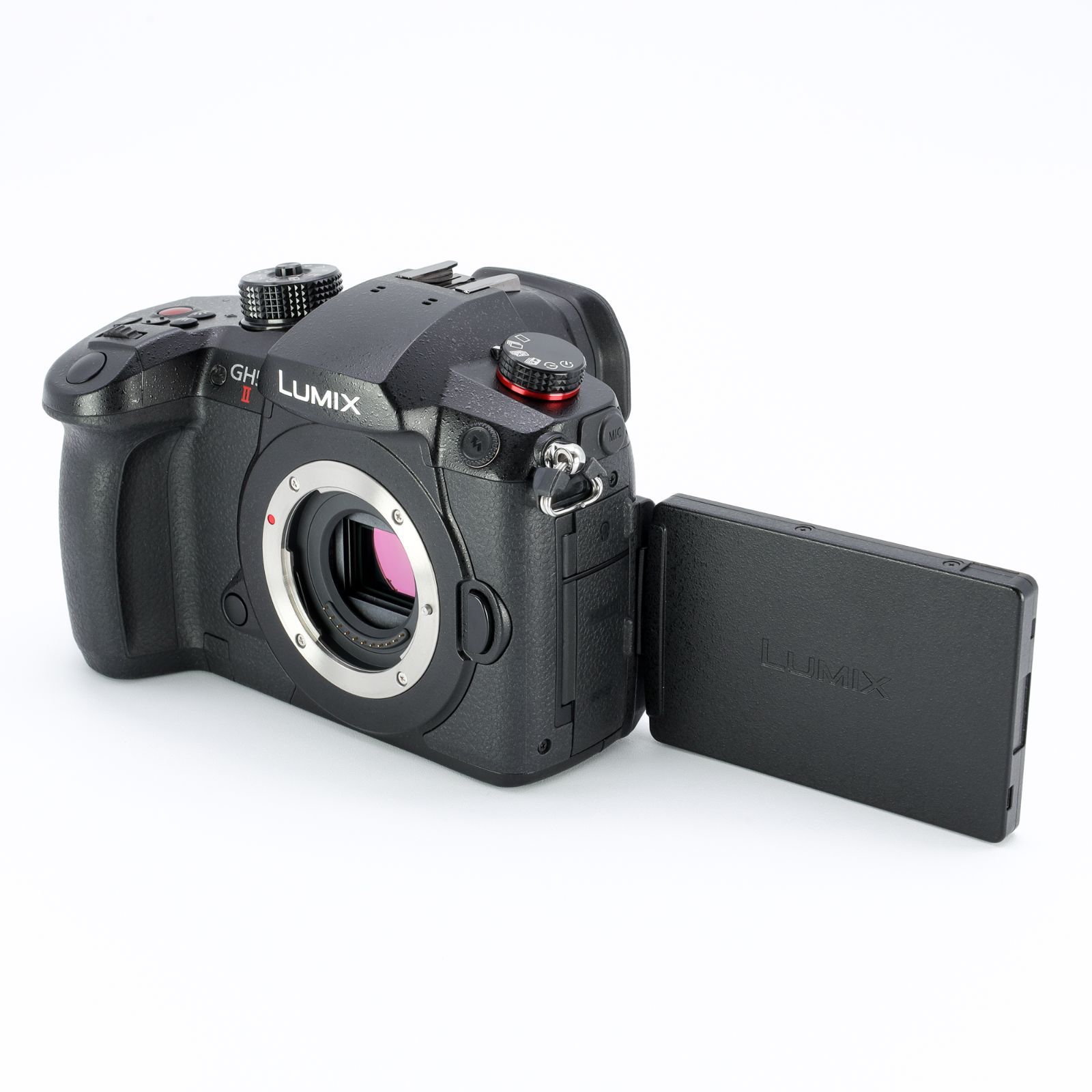 Panasonic パナソニック LUMIX GH5 II ミラーレス一眼カメラ 標準ズームレンズキット DC-GH5M2M ズームレンズ _GP00011984