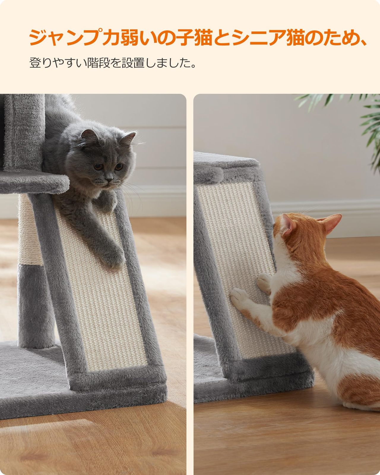 天然サイザル