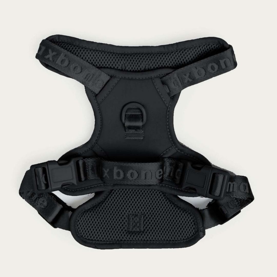 楽天市場】CoCo（犬用品｜ペット・ペットグッズ）の通販 CoCo様専用