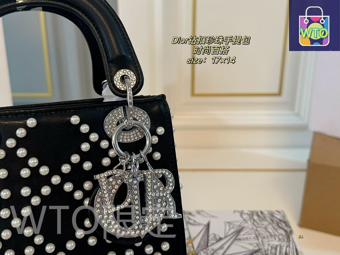 Dior キャンバスと水?のハンドバッグ