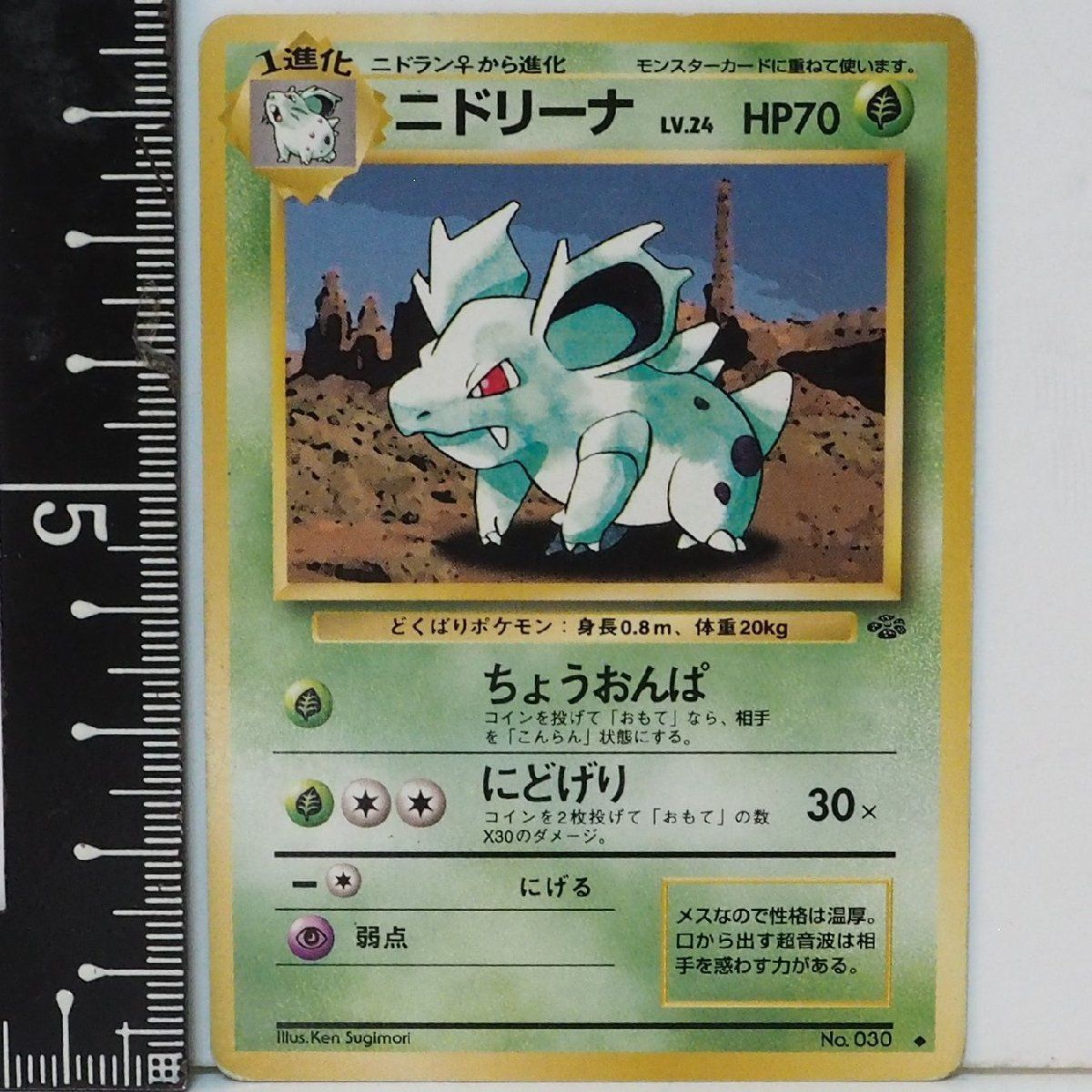 psa10 旧裏 ニドクイン ポケモンカード 【公式通販】