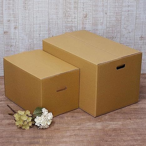 段ボール セット (140･100サイズ 段ボール 各5枚) 取っ手穴付き 引越し 宅配便 梱包 ｄE1HT×5-ｄC3T×5