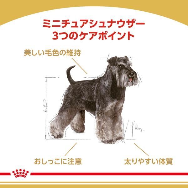 ニュートリション