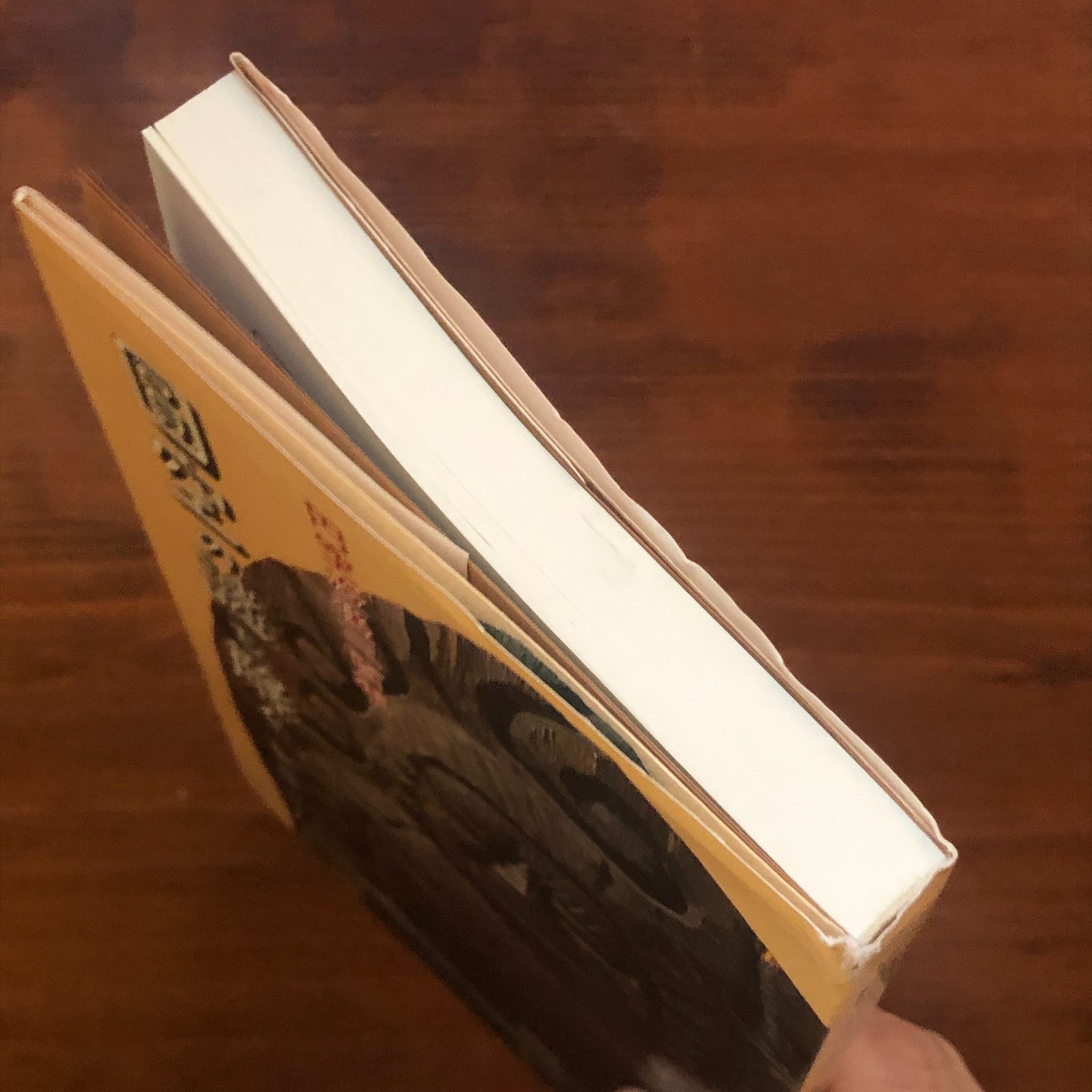 【中古】 円空の謎を解く 円空没後三百年/中日出版/加藤元人 円空の謎を解く : 円空没後三百年 加藤元人 著 1994.6 中日出版