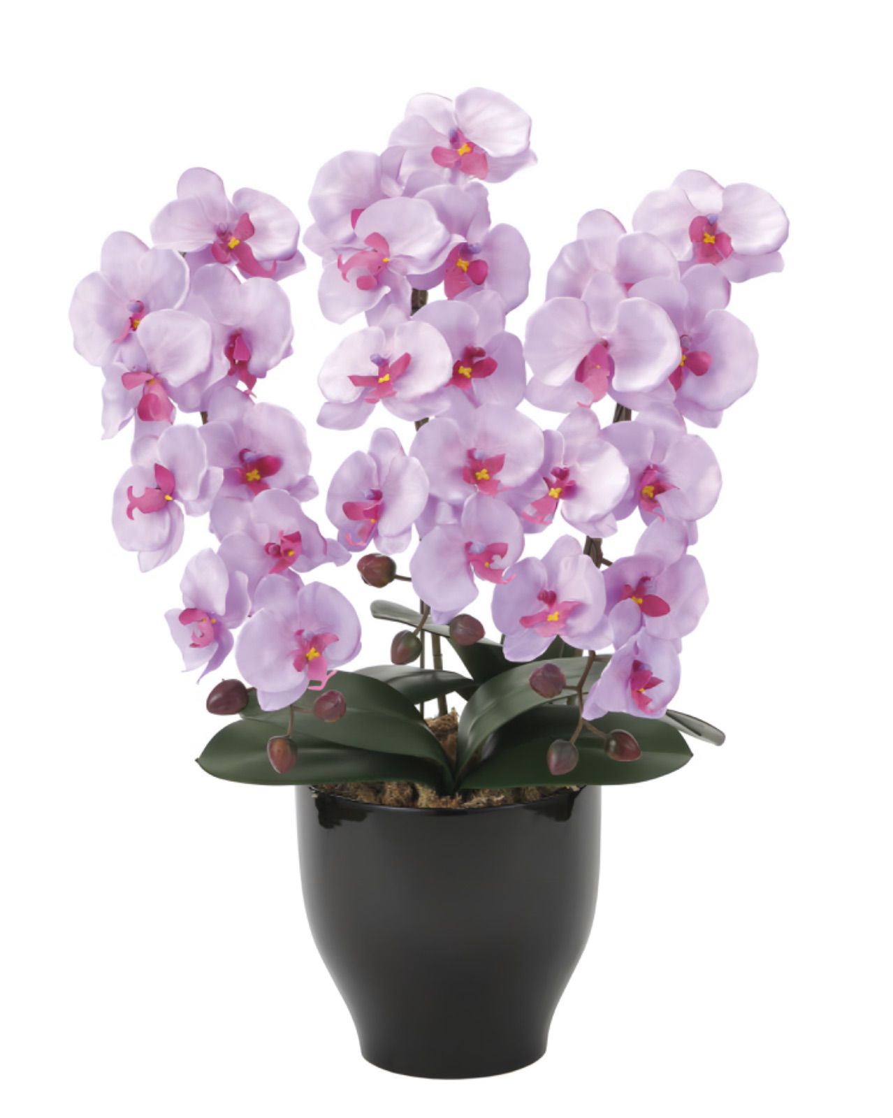 光触媒 人工観葉植物 ウォールグリーン フェイクグリーン 胡蝶蘭