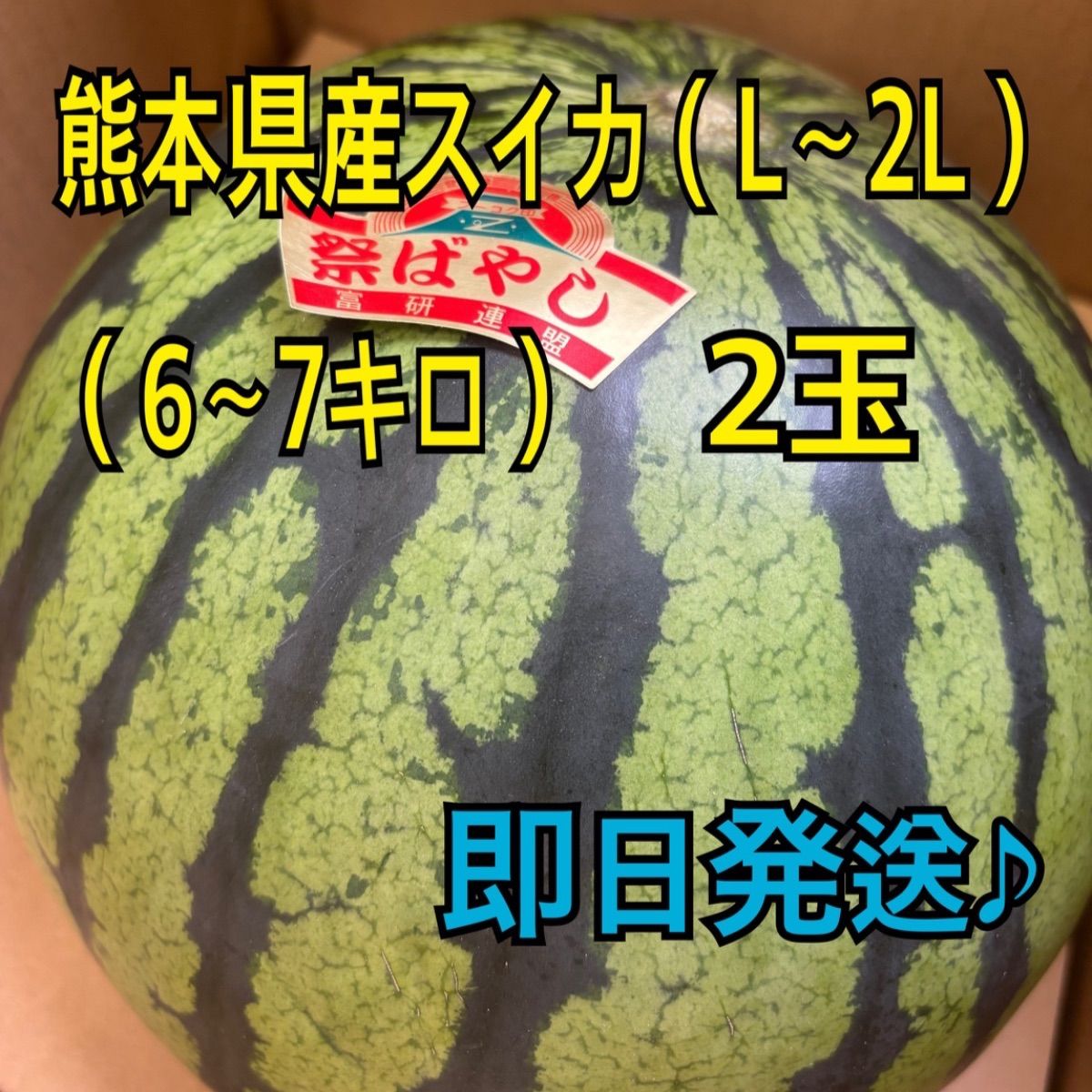 熊本県産 スイカ×2玉セット 秀品 L～2Lサイズ 6～7キロ