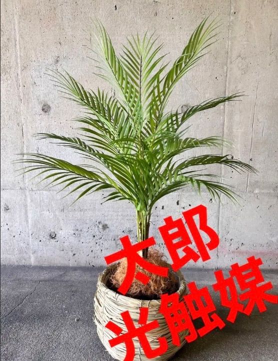 光触媒 人工観葉植物 ウォールグリーン コレクション フェイクグリーン