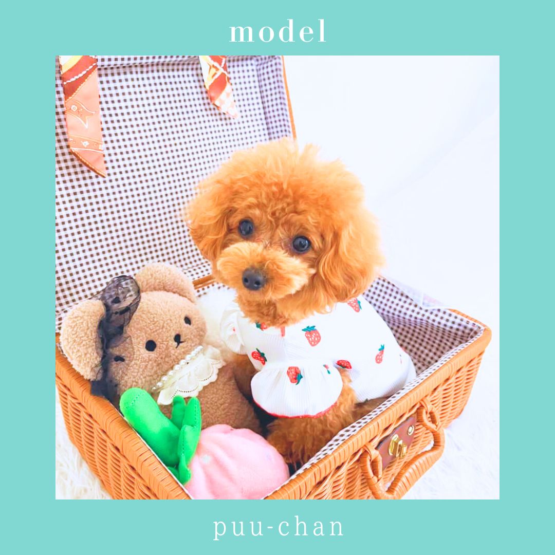 ハンドメイド犬服　お袖フリルのエプロンドレス　ピンク苺ちゃん★お袖変更可能 ハンドメイド犬服 お袖フリルのエプロンドレス ピンク苺ちゃん☆お袖変更