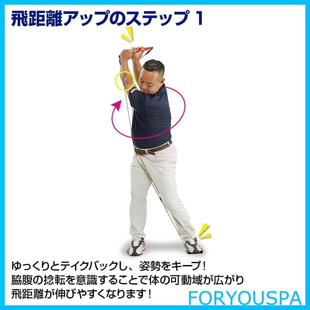 ダイヤゴルフ(DAIYA GOLF) スイング練習器具 ダイヤパワーチューブギア 関雅史プロ監修 トレーニング