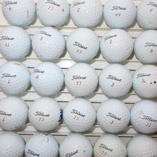 dinofactory Anagom ゴルフヘッドカバー シロクマ ドライバー