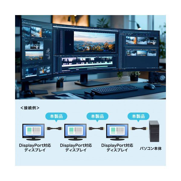 DisplayPort