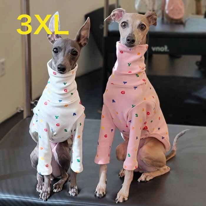 イタグレ服 3XL アルファベット Tシャツ パジャマ 韓国 犬服 中型犬
