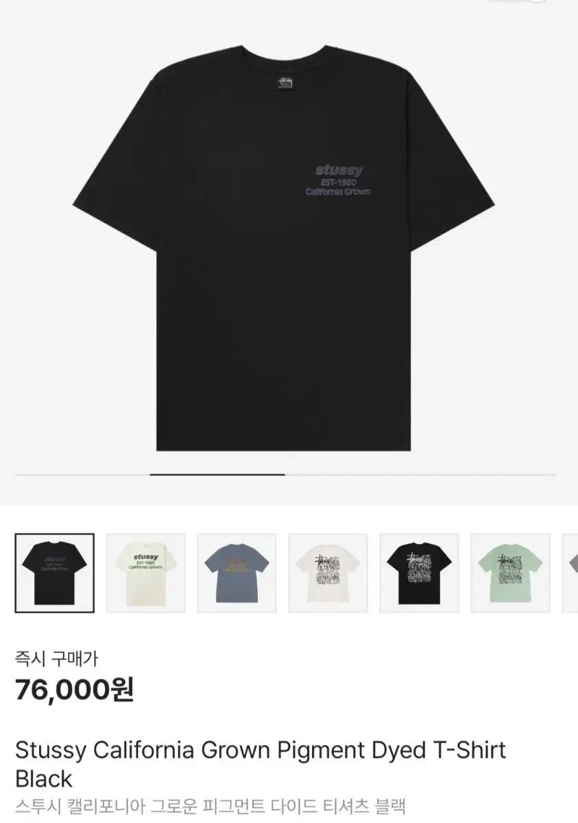 STUSSY ステューシー カリフォルニア Tシャツ 半袖