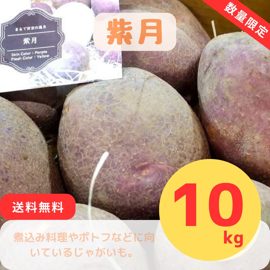 訳ありノーザンルビー１０kg 北海道剣淵町産じゃがいも