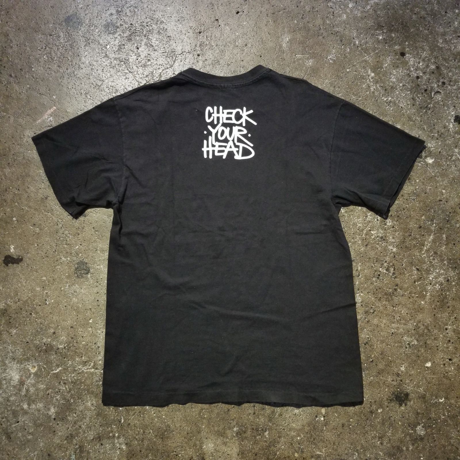 BEASTIE BOYS 90s CHECK YOUR HEAD Tシャツ L Hanes USA製