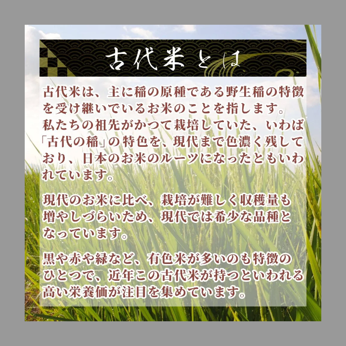 【雑穀米本舗】雑穀 雑穀米 国産 赤米 2.7kg(450g×6袋)-3