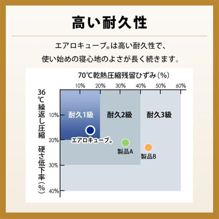 上半身 肩