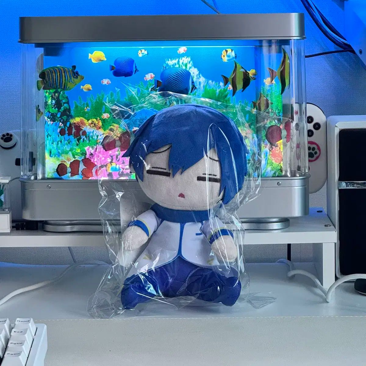ボーカロイド プロジェクトセカイ カラフルステージ! かいと カイト 初音ミク フェスティバル マジカル みらい ぬいぐるみ 人形 グッズ