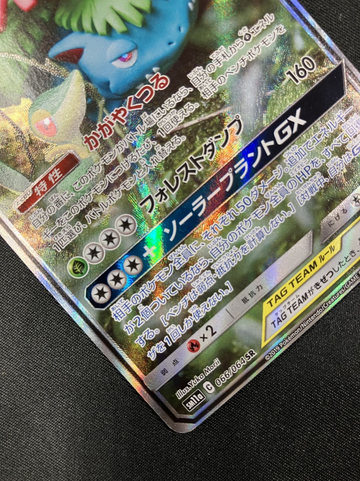 フシギバナ＆ツタージャGX SA SM11a リミックスバウト 066/064 フシギバナ＆ツタージャGX SA SM11a リミックスバウト 066/064