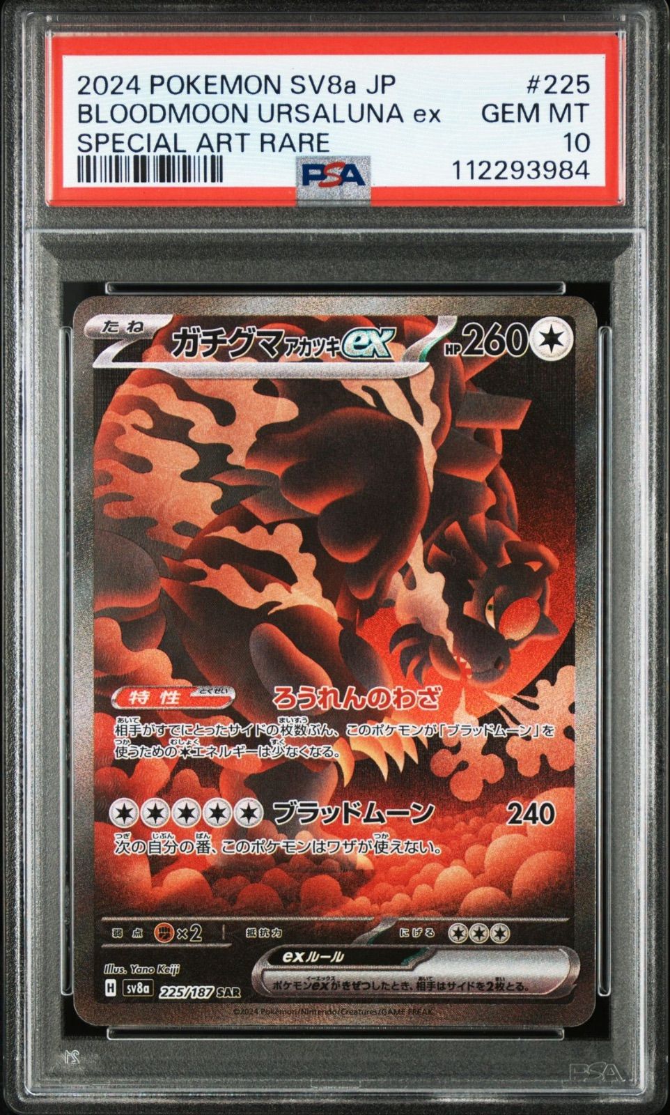テツノブジン　ガチグマアカツキex SAR テラスタルフェスPSA10 2連番 ポケモンカード テラスタルフェス ガチグマアカツキex sar
