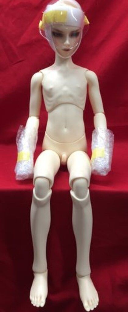 SDGr男の子 美しき宴の響き