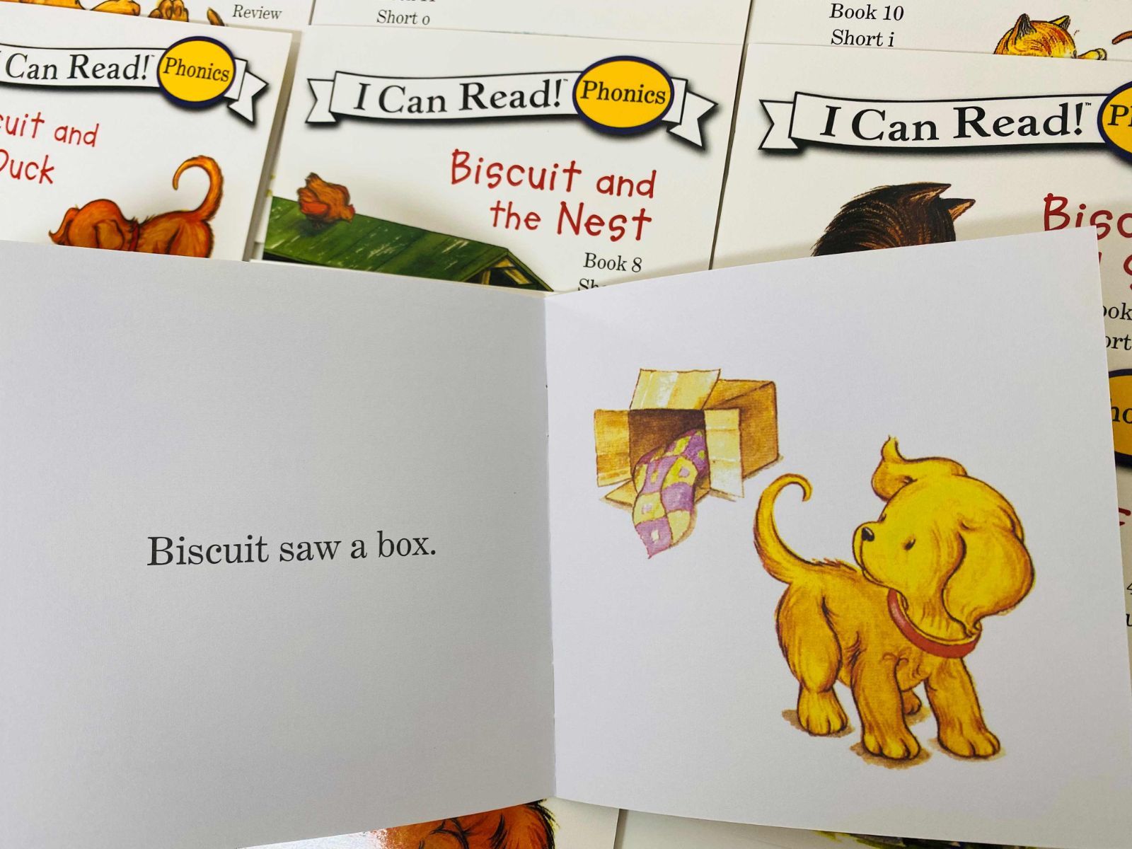 新品】ビスケットフォニックス 24冊 I can read phoics biscuit